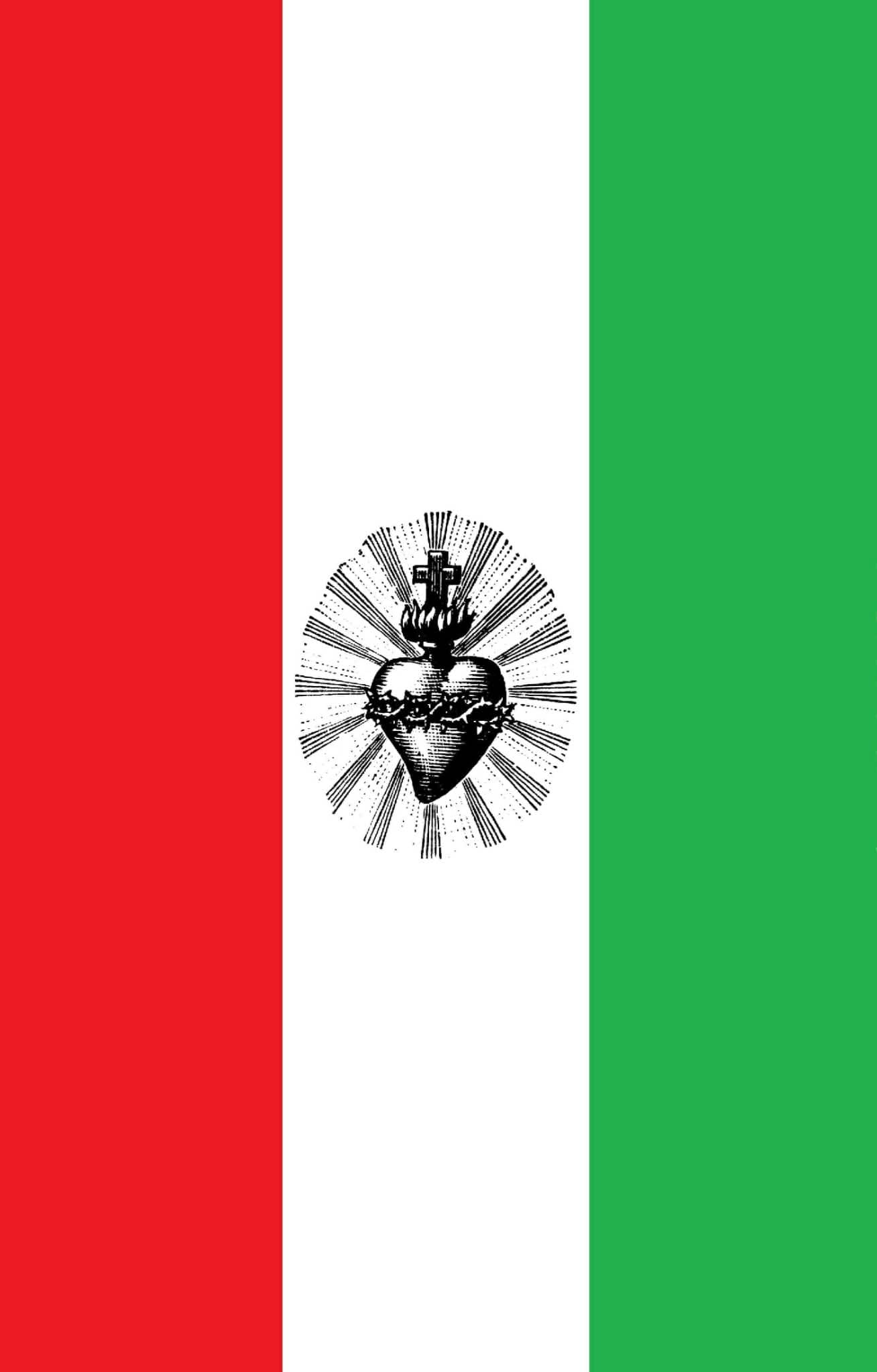 Encíclicas del Papa Pio XI sobre la guerra cristera - Imagen 3